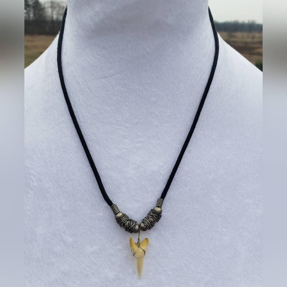13. Shark Tooth Necklace